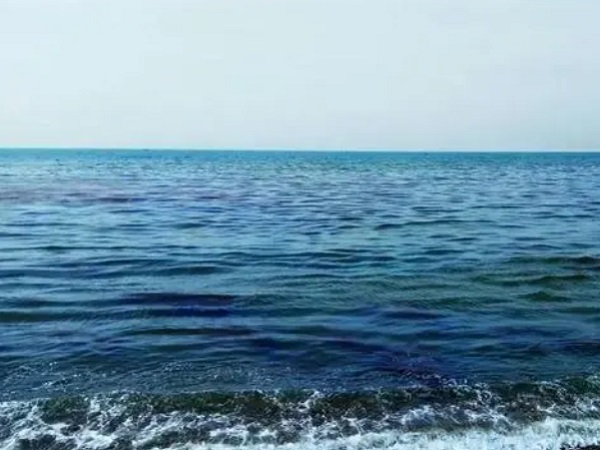 日本核廢水將排海-影響何以估量？